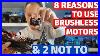 Brushed_Vs_Brushless_Motors_Top_8_Reasons_Why_Brushless_01_sn
